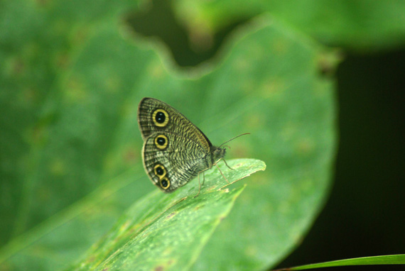 d0090322_74829.jpg
