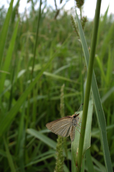 d0090322_75055.jpg