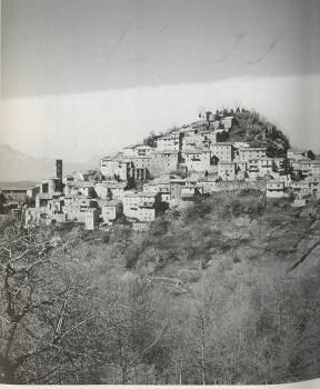 d0065324_12454211.jpg