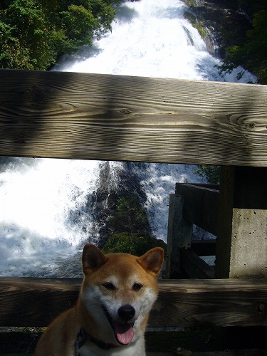 竜頭の滝～湯滝_d0099829_2003764.jpg