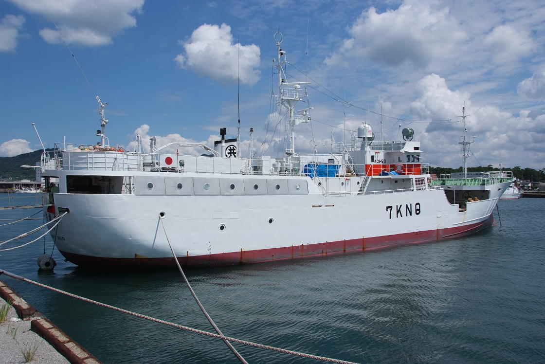 c0005030_913775.jpg