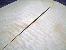 b0091544_17455351.gif