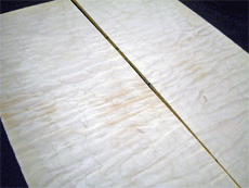 b0091544_17463075.gif