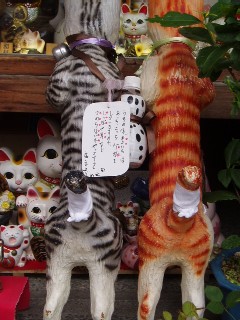のあ794 黒猫軍団 何処へ♪_b0061261_2044519.jpg