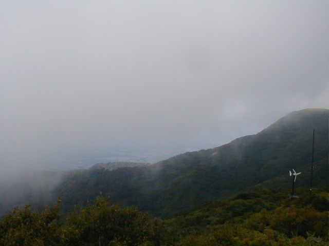 a0095963_2114202.jpg