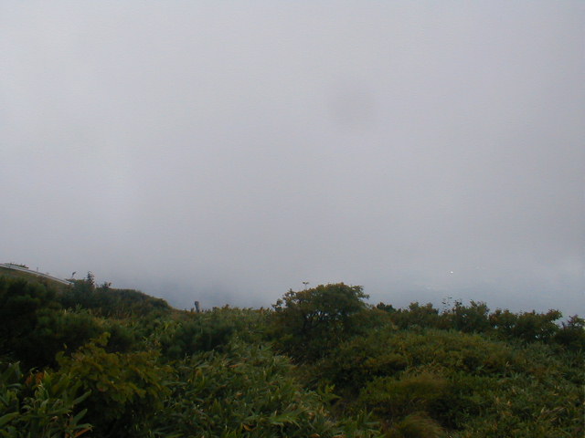 a0095963_21143086.jpg