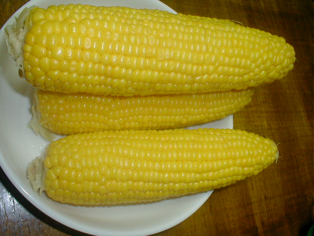 a0095963_21224574.jpg