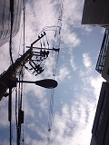 e0081772_1054199.jpg