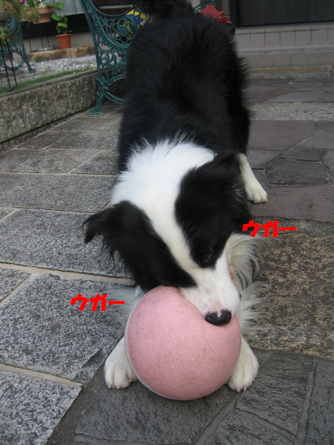 e0117976_1424353.jpg