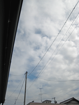 a0062983_10491282.gif