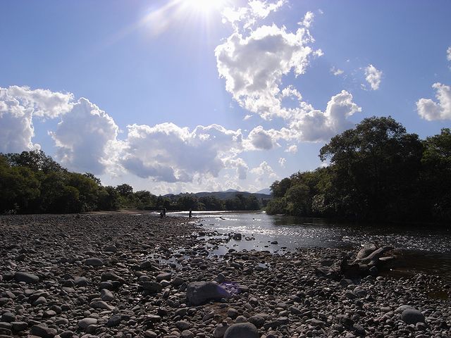a0093592_2352522.jpg