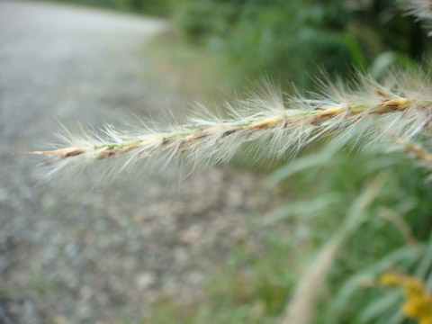 f0146493_9542550.jpg