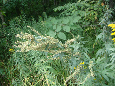 f0146493_9544739.jpg