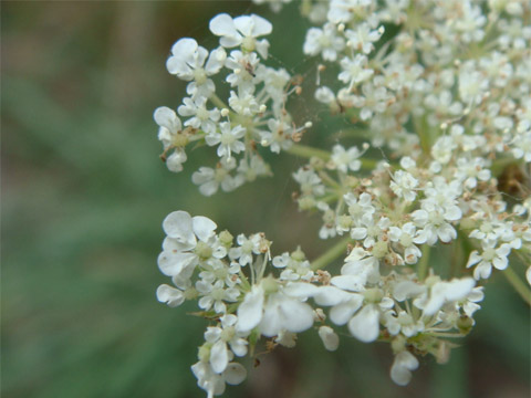 f0146493_9552445.jpg
