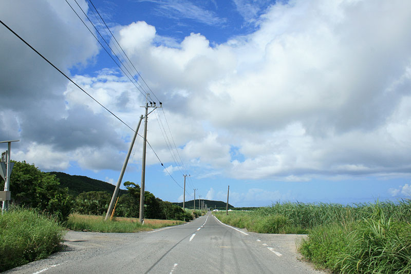 a0078698_14383948.jpg