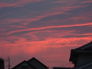 d0083301_920593.jpg