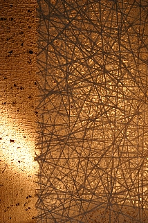 c0039205_2357726.jpg