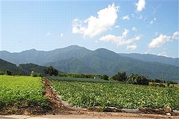 夏休み その3 _c0116714_1592878.jpg