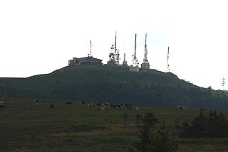 夏休み その3 _c0116714_9424149.jpg