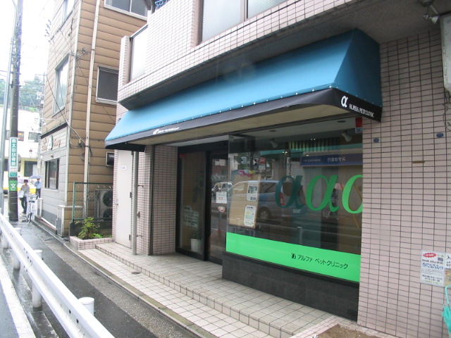カッティングシートで看板_e0093914_15563267.jpg