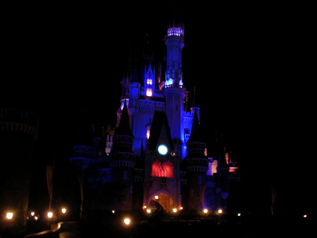 インカレ&TDL_c0077531_22465234.jpg