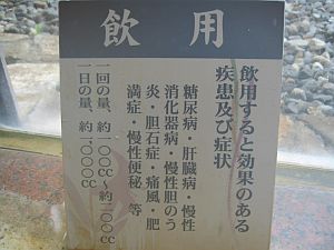 開田高原とインプレッサS-GT_f0076731_74268.jpg