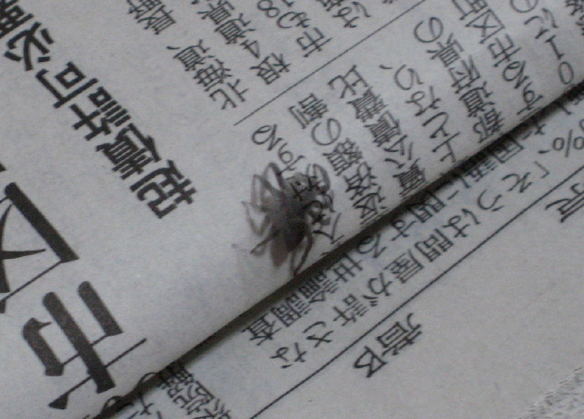 f0068334_9432689.jpg