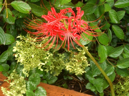 c0025140_22341569.jpg