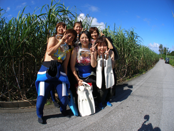 d0065247_207688.jpg