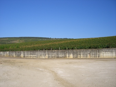 Une journée d\'automne à Bourgogne_c0129852_2005843.jpg