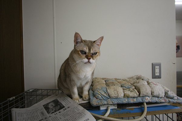 その場所は_c0109780_16502497.jpg