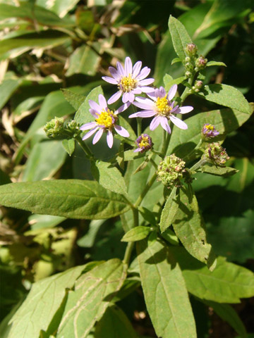 f0146493_6265430.jpg