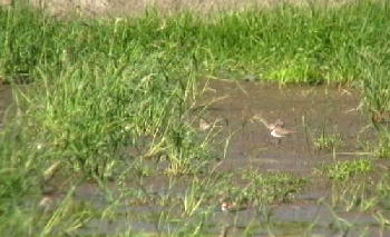 c0059002_23521246.jpg