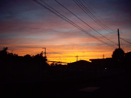 c0128303_1102111.jpg