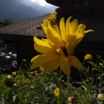 c0026612_1631897.jpg