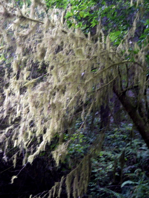 a0095115_9313317.jpg