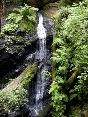 a0095115_9322589.jpg