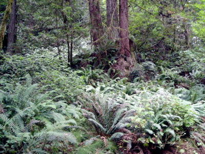 a0095115_93292.jpg