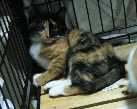 a0033423_0283046.jpg