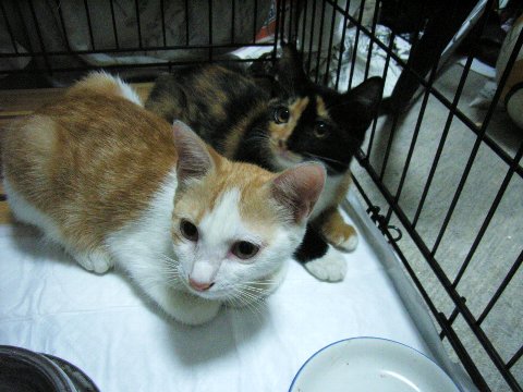 a0033423_0284981.jpg