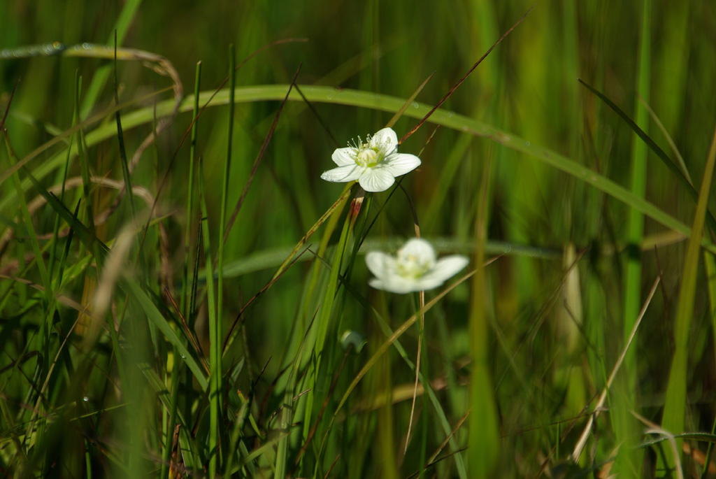 b0062024_7433234.jpg