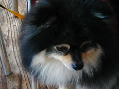 d0017632_16221648.jpg