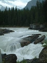 e0019942_33959.jpg