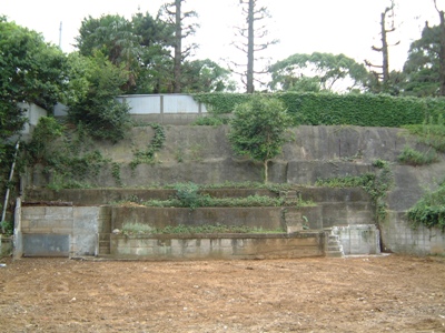 b0045357_1628330.jpg
