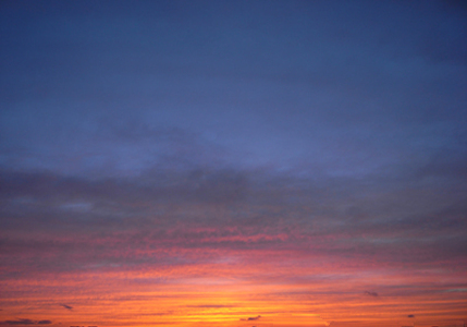 a0085558_13331.jpg