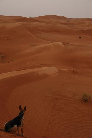 e0066474_2135766.jpg