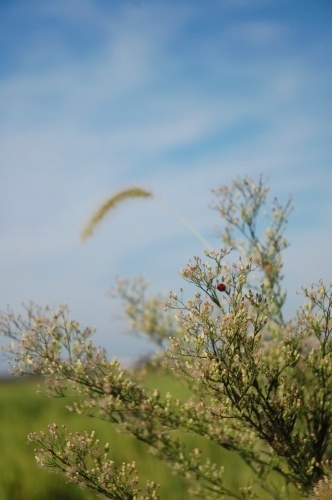 d0063278_21103626.jpg