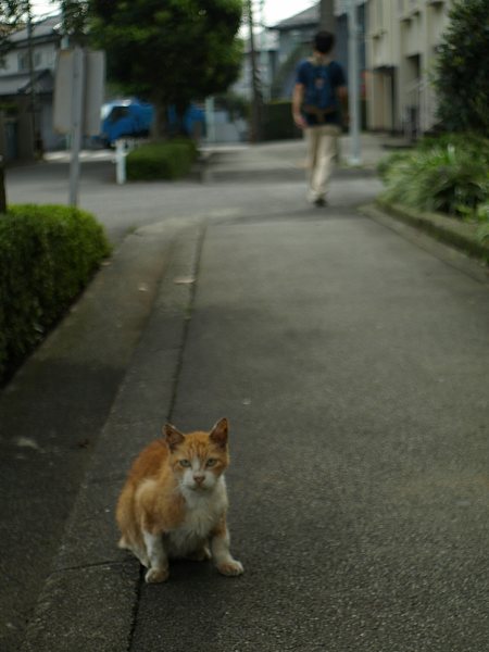 ひさびさに_c0109780_12232152.jpg
