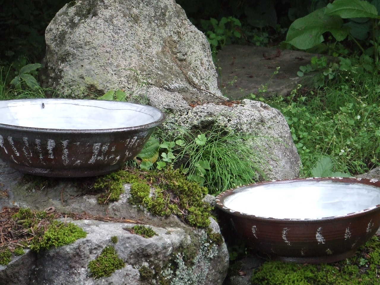明日、出発します_a0107184_1732230.jpg