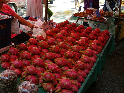 d0080998_853453.jpg